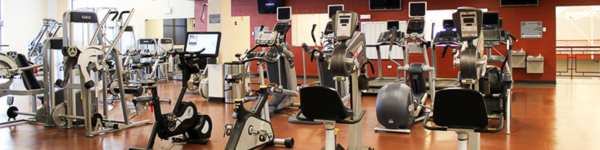 Decorative, Fitness Equipment